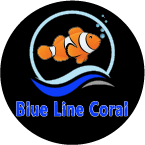 Blue Line Coral