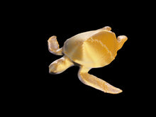 Load image into Gallery viewer, Sea turtle
